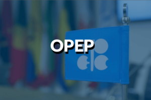 OPEP: qu'est-ce que c'est et quelle est son importance?