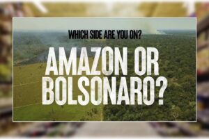 Campagne pour enregistrer le support des questions Amazon pour Bolsonaro