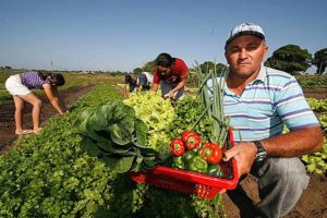 la fin de la subvention fiscale aux pesticides ne rend pas les aliments plus chers