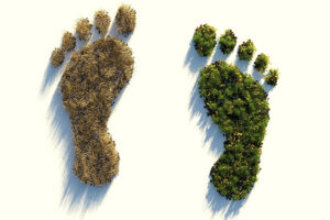 L'article discute des changements environnementaux et de leurs impacts sur la santé humaine – Jornal da USP