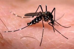 La vague hivernale peut provoquer une augmentation des maladies transmissibles: Minsalud