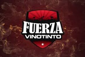 Jour après jour dans notre Vinotinto Force!