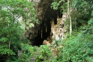 La Cueva del Guácharo, premier monument naturel du Venezuela