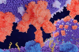 Le variant de coronavirus identifié à Manaus a plus de potentiel de transmission et de réinfection – Jornal da USP #jornaldausp