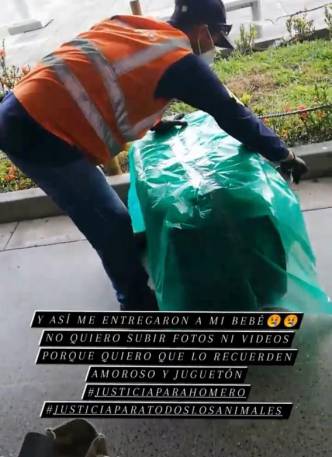 Chien mort à Easyfly