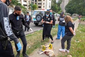 La violence des espèces dans notre société