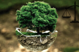 Le dossier américain met le Brésil dans une situation préoccupante en matière de préservation de l&rsquo;environnement – Jornal da USP