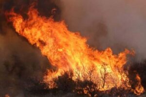 Le président argentin se rend dans la zone touchée par les incendies