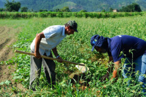 L&rsquo;agro-industrie surprend et bat le record du nombre d’embauches en 2020 – Jornal da USP