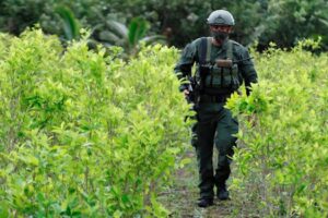 La Colombie célèbre la certification américaine dans la lutte contre le trafic de drogue