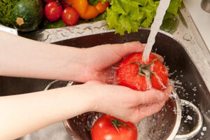 Environment is the Environment discute des différences entre les aliments transformés et les aliments frais – Jornal da USP