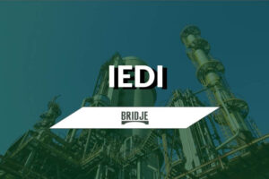 IEDI: quel est le rôle de l&rsquo;institution?