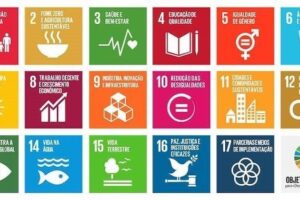 L&rsquo;USP est la 48e université au monde la plus engagée envers les objectifs de développement durable – Jornal da USP