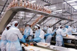 La santé des travailleurs est menacée par les modifications proposées à la loi