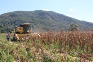 Revenons sur le terrain |  Irrigation dans les cultures