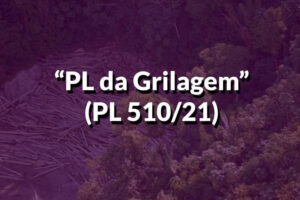 Qu&rsquo;est-ce que le « Grilagem PL » et pourquoi est-il important?