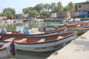 La pêche est modernisée à La Guaira