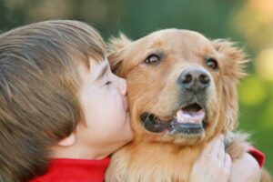 50 façons dont votre chien recherche pour vous donner des informations
