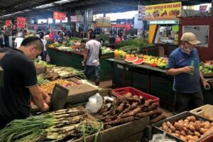 Ils s&rsquo;attendent à ce que les revenus alimentaires s&rsquo;améliorent à Cavasa