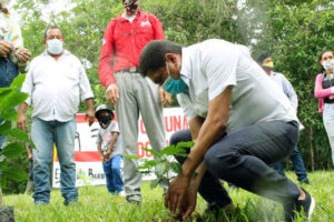 Lancement du plan de promotion de la plantation de cacao et de café à Barinas