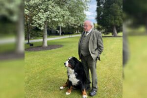 Le chien du président irlandais s&rsquo;est faufilé dans une interview en direct et a volé la vedette