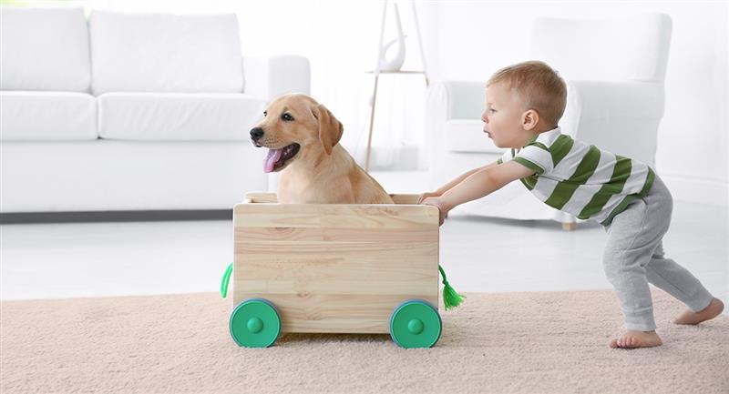 Les animaux domestiques gardent les enfants actifs.  Photo: Shutterstock