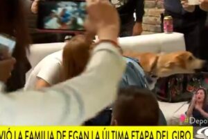 Le chien d&rsquo;Egan Bernal a failli mordre un journaliste de Caracol
