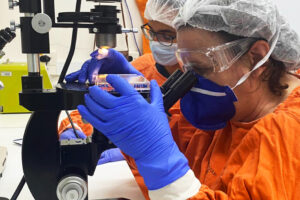 En laboratoire, les anticorps de la plupart des personnes infectées par le covid en 2020 neutralisent le variant P.1 – Jornal da USP