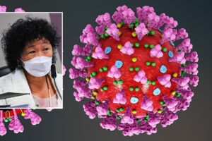 Virus ou protozoaire ?  SBPC clarifie la « polémique » de cette semaine sur l&rsquo;IPC de Covid
