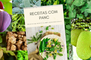 Des chercheurs de l&rsquo;USP enseignent comment utiliser des plantes alimentaires non conventionnelles dans la cuisine – Jornal da USP