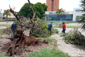 Des pluies intenses ont laissé 103 maisons inondées à Lara