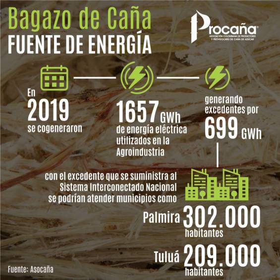 Procaña