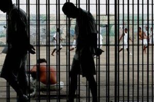 Dans les rapports criminels, la presse adopte le côté de l&rsquo;accusation, selon la recherche