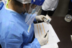 Ils signalent 1 117 nouveaux cas de Covid-19 avec plus d&rsquo;infections à Aragua