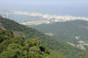 La déforestation de la forêt atlantique a tendance à augmenter pendant les années électorales – Jornal da USP