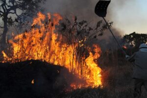 La forêt amazonienne émet déjà plus de CO2 que d&rsquo;oxygène.  Nous avons réussi !