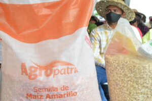 Plus de 4 600 Guariqueños ont reçu un financement pour la plantation