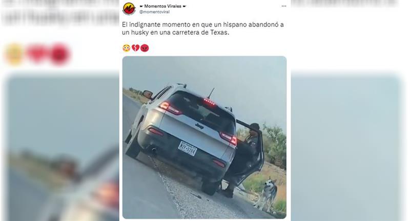 Une personne a pu enregistrer le cas d'abandon.  Photo : Twitter @momentoviral