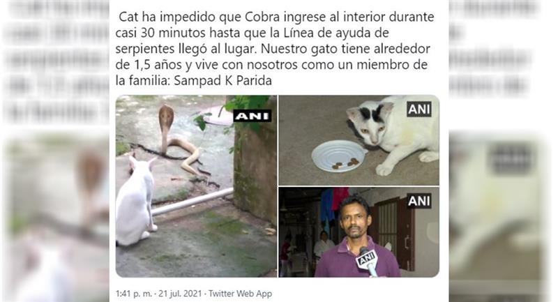 Le journal Asian News International (Ani) a rapporté les faits.  Photo : Twitter @ANI