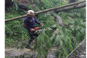Les pluies génèrent des chutes d&rsquo;arbres et l&rsquo;obstruction des routes à Trujillo