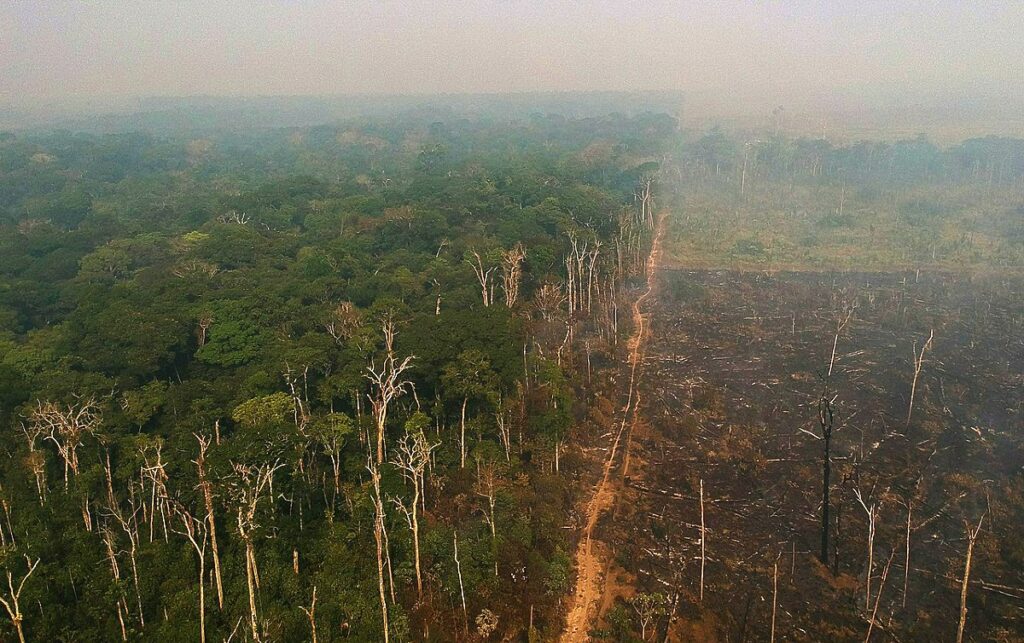 Bruno Kelly/Amazonia Real