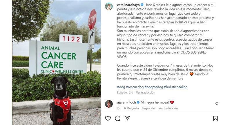 Catalina Robayo a révélé les problèmes de santé d'un de ses chiens.  Photo : Instagram @catalinarobayo