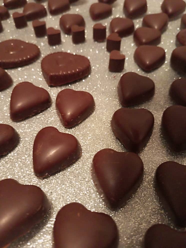 Dauna Kakao : le chocolat haut de gamme de Delta Amacuro