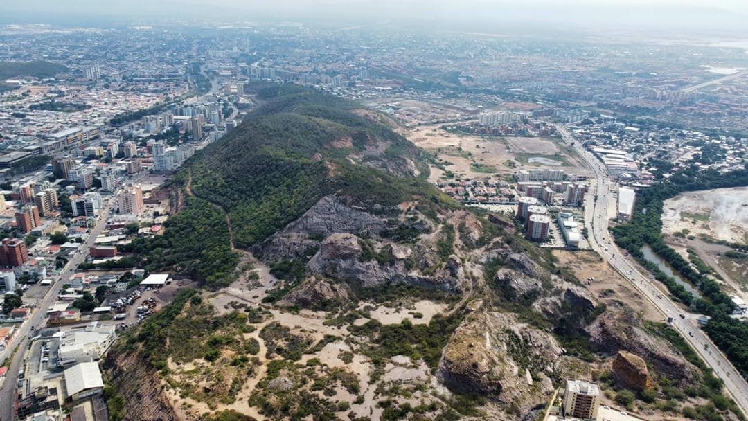 Début du reboisement du Cerro Venezuela à Anzoátegui