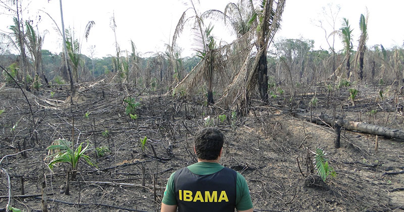 La décision technique d'Ibama sur l'exploration pétrolière en Amazonie devient un problème politique - Jornal da USP