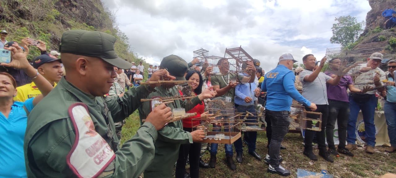 106 oiseaux récupérés de captivité à Cojedes libérés