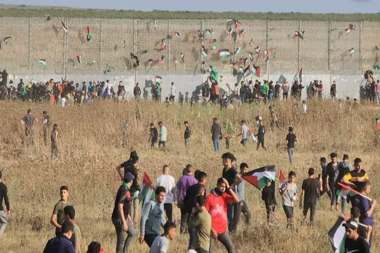 Cinq Palestiniens blessés lors d'une marche provocatrice israélienne signalés