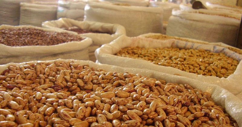 Le PIB de la région agroalimentaire de São Paulo a augmenté de 15,7 % en dix ans - Jornal da USP