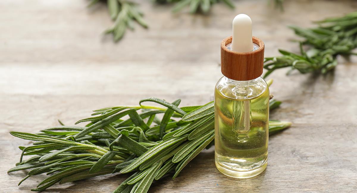Comment faire pousser les cheveux plus vite ?  Étape par étape pour faire un tonique au romarin