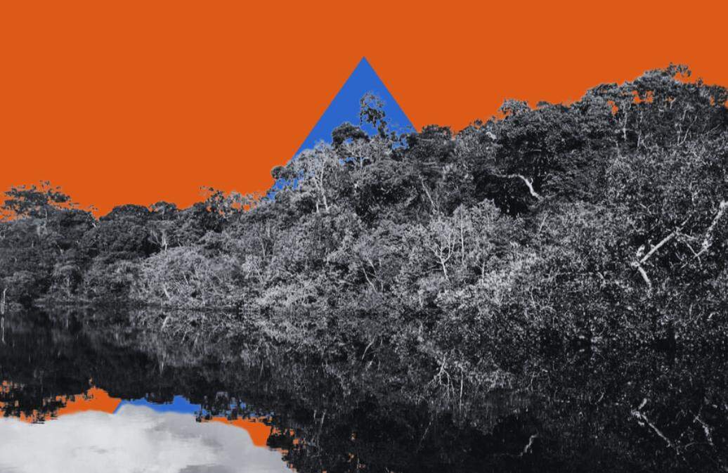 a imagem apresenta parte da floresta amazônica, perto de um rio